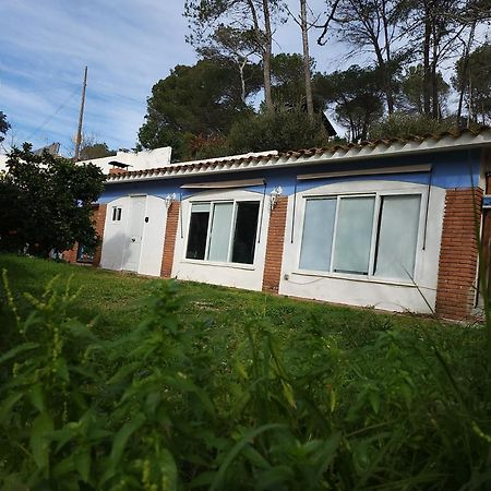 Raconet Azul - Circuito Cataluna Vallromanes Exteriör bild